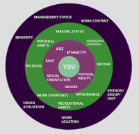 Utilizing the Diversity Wheel for Personal and Professional Development